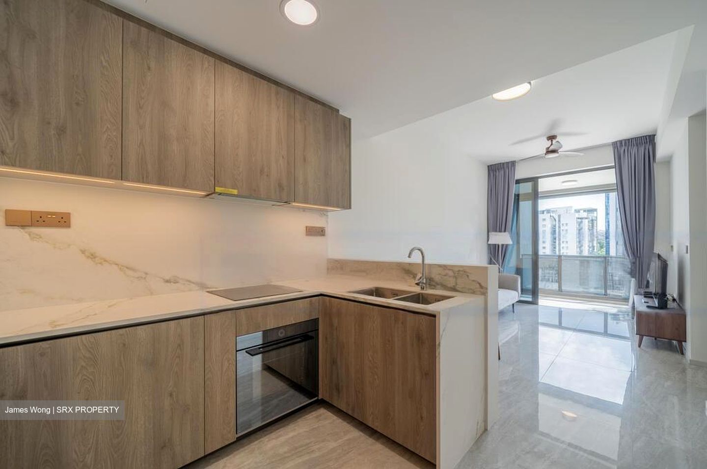 Leedon Green (D10), Condominium #424544311